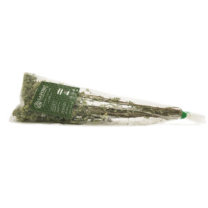 origano